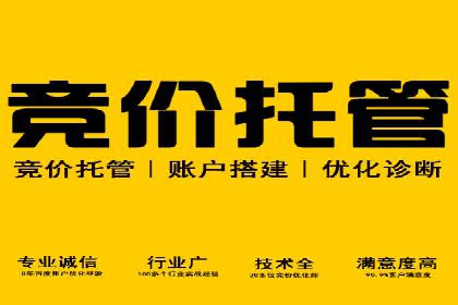 专业sem竞价托管服务，案例解析提升广告效果